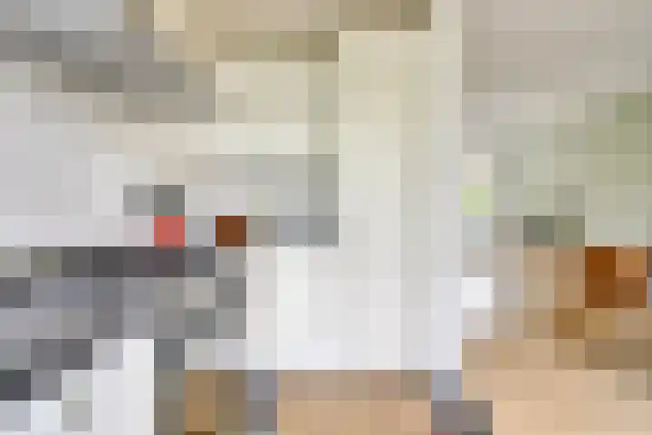H. Copijnlaan 13 Utrecht thumbnail 18