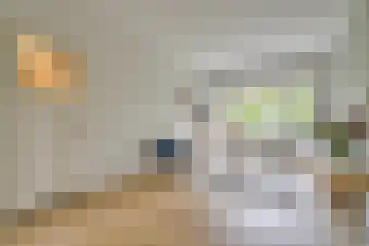 H. Copijnlaan 13 Utrecht thumbnail 20