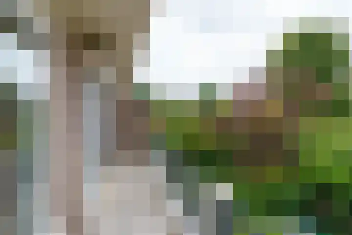 H. Copijnlaan 13 Utrecht thumbnail 23