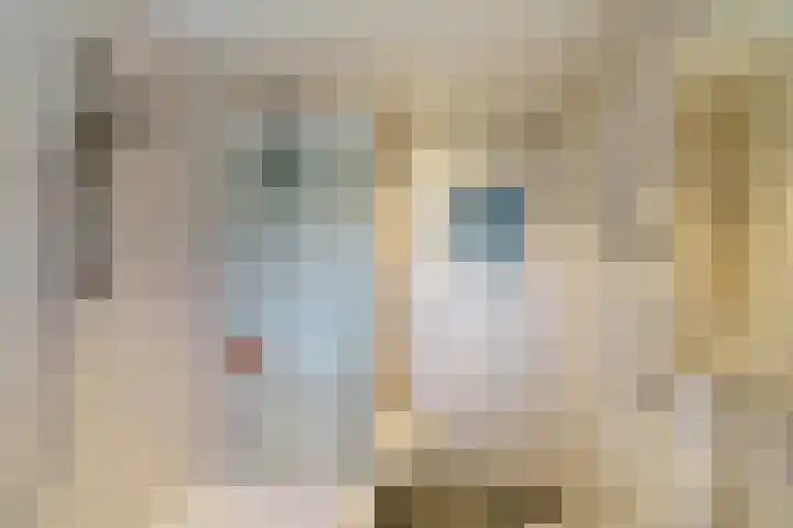 H. Copijnlaan 13 Utrecht thumbnail 33