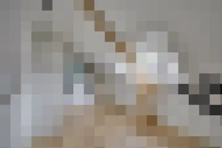 H. Copijnlaan 13 Utrecht thumbnail 35