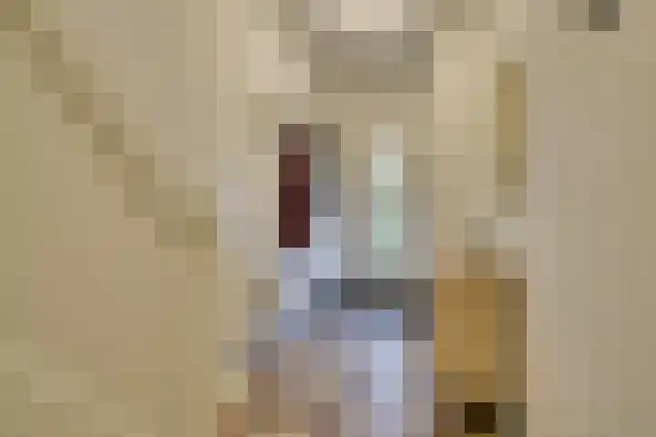 H. Copijnlaan 13 Utrecht thumbnail 38