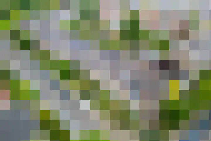 H. Copijnlaan 13 Utrecht thumbnail 41