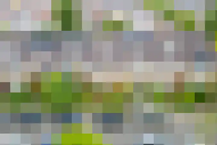 H. Copijnlaan 13 Utrecht thumbnail 42