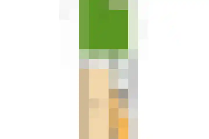 H. Copijnlaan 13 Utrecht thumbnail 52
