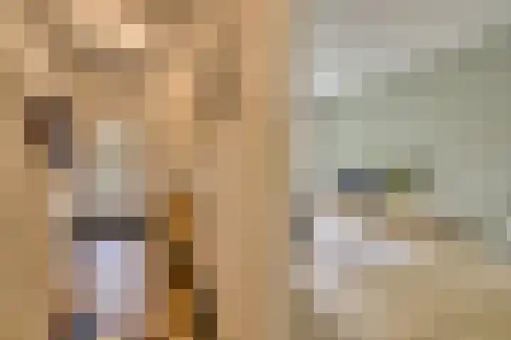 H. Copijnlaan 13 Utrecht thumbnail 8