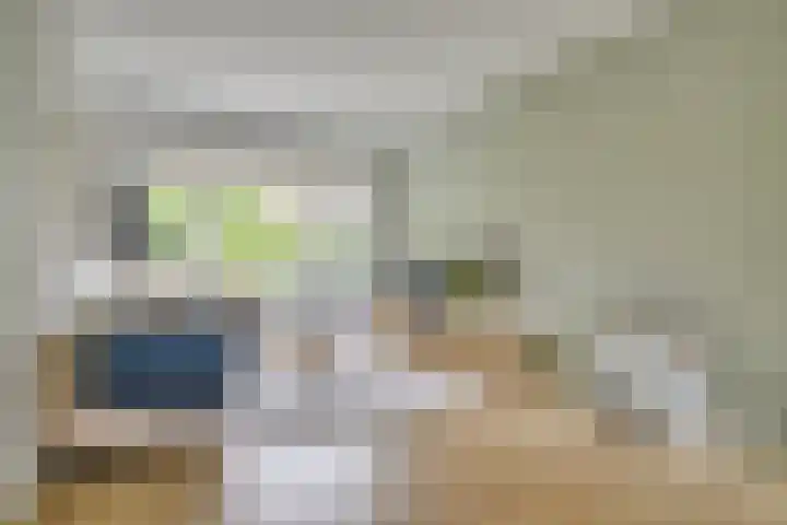 H. Copijnlaan 13 Utrecht thumbnail 9