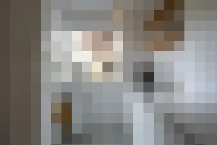H. Copijnlaan 17 Utrecht thumbnail 11