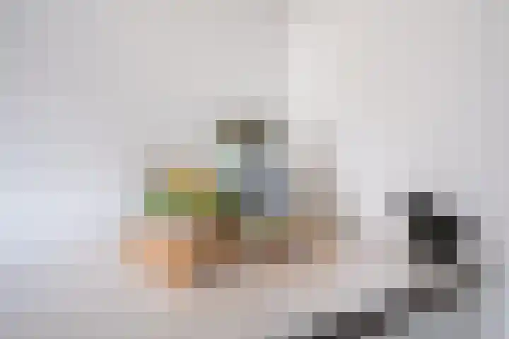 H. Copijnlaan 17 Utrecht thumbnail 12