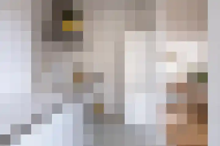 H. Copijnlaan 17 Utrecht thumbnail 13