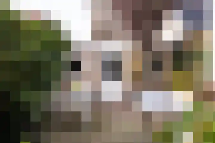 H. Copijnlaan 17 Utrecht thumbnail 15