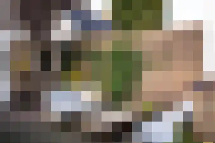 H. Copijnlaan 17 Utrecht thumbnail 16