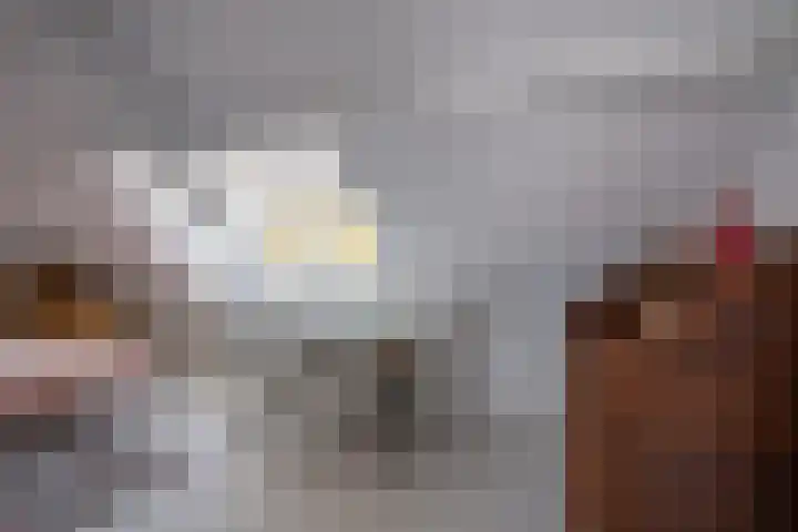 H. Copijnlaan 17 Utrecht thumbnail 26