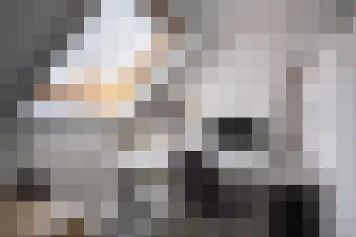 H. Copijnlaan 17 Utrecht thumbnail 27