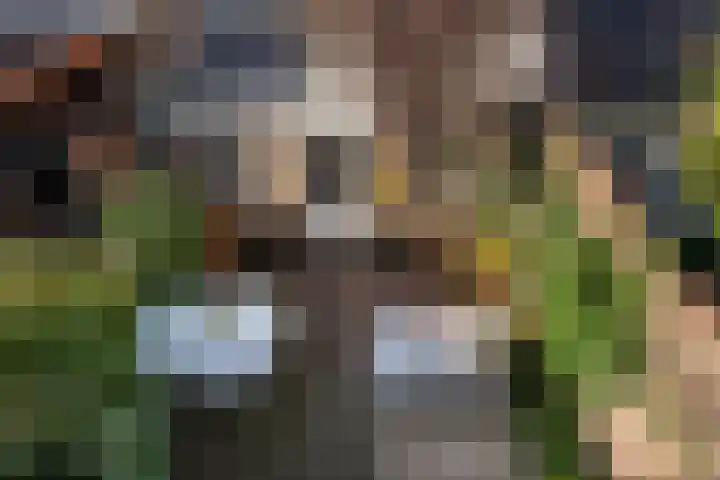 H. Copijnlaan 17 Utrecht thumbnail 29