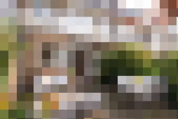 H. Copijnlaan 17 Utrecht thumbnail 5
