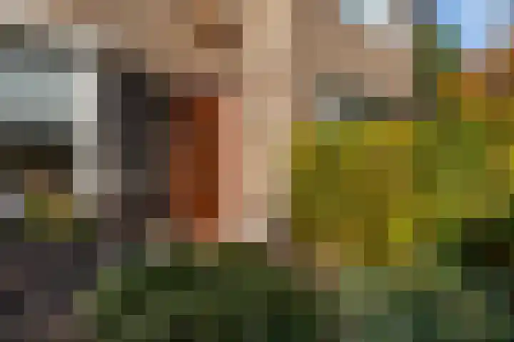 H. Copijnlaan 17 Utrecht thumbnail 6
