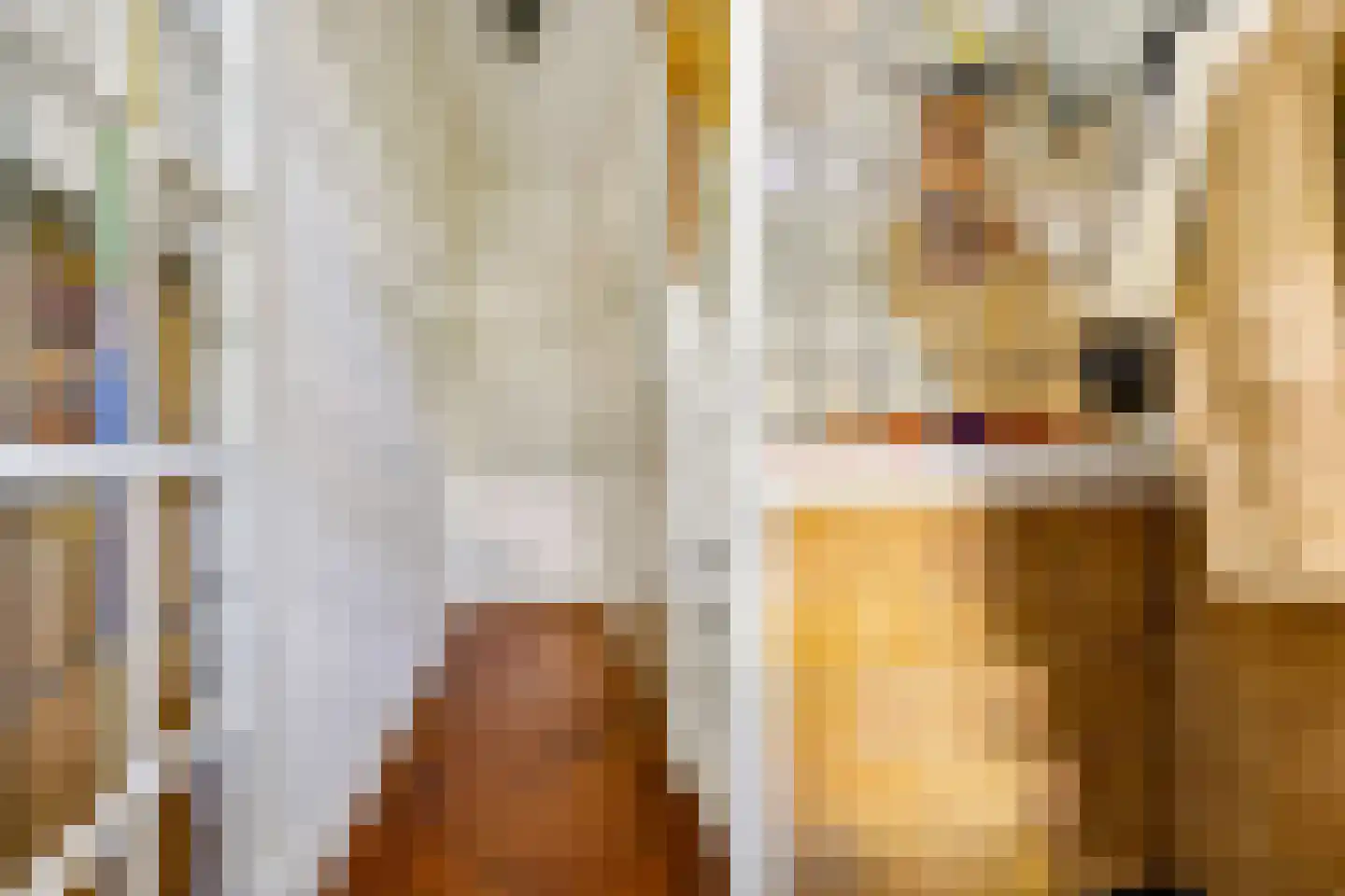 H. Copijnlaan 20 Utrecht thumbnail 11