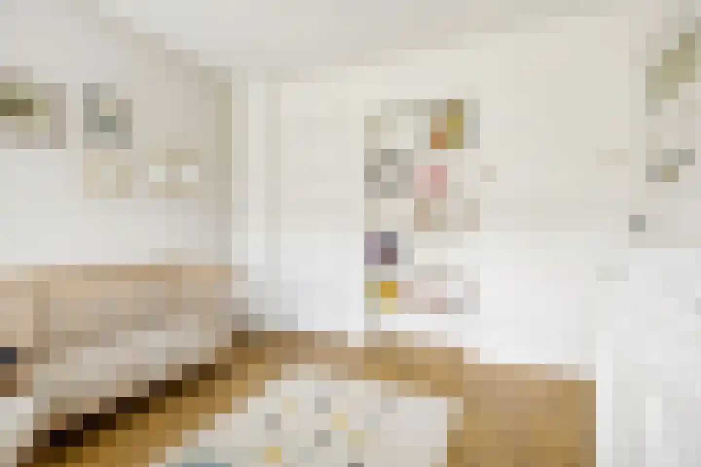 H. Copijnlaan 20 Utrecht thumbnail 39