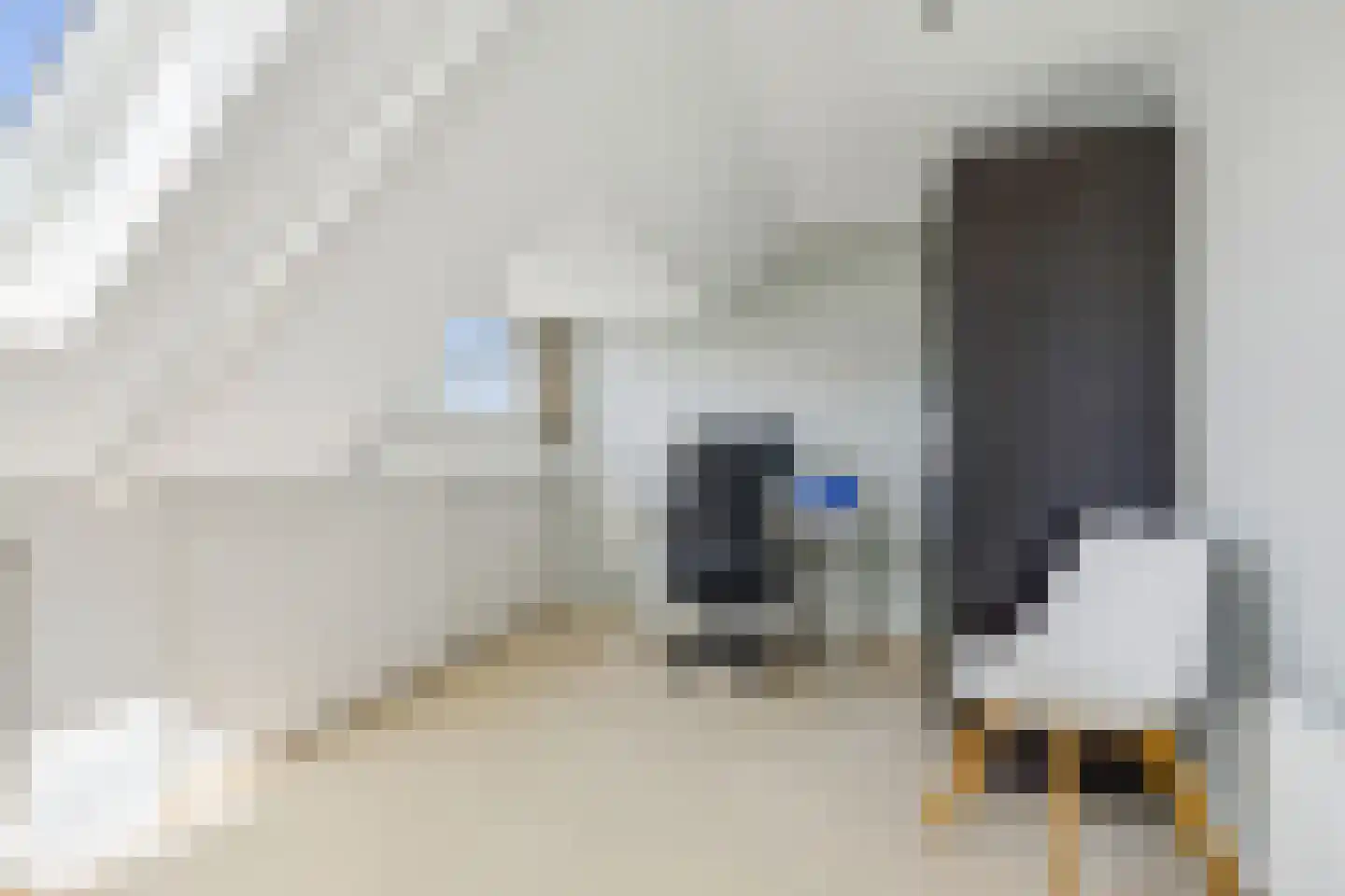 H. Copijnlaan 20 Utrecht thumbnail 45