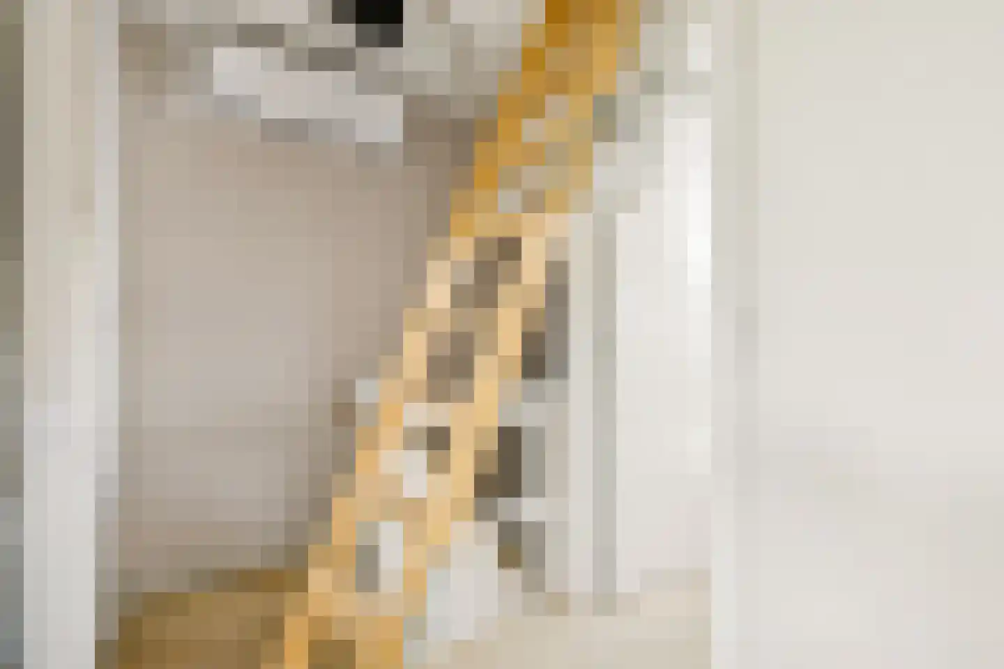 H. Copijnlaan 20 Utrecht thumbnail 50