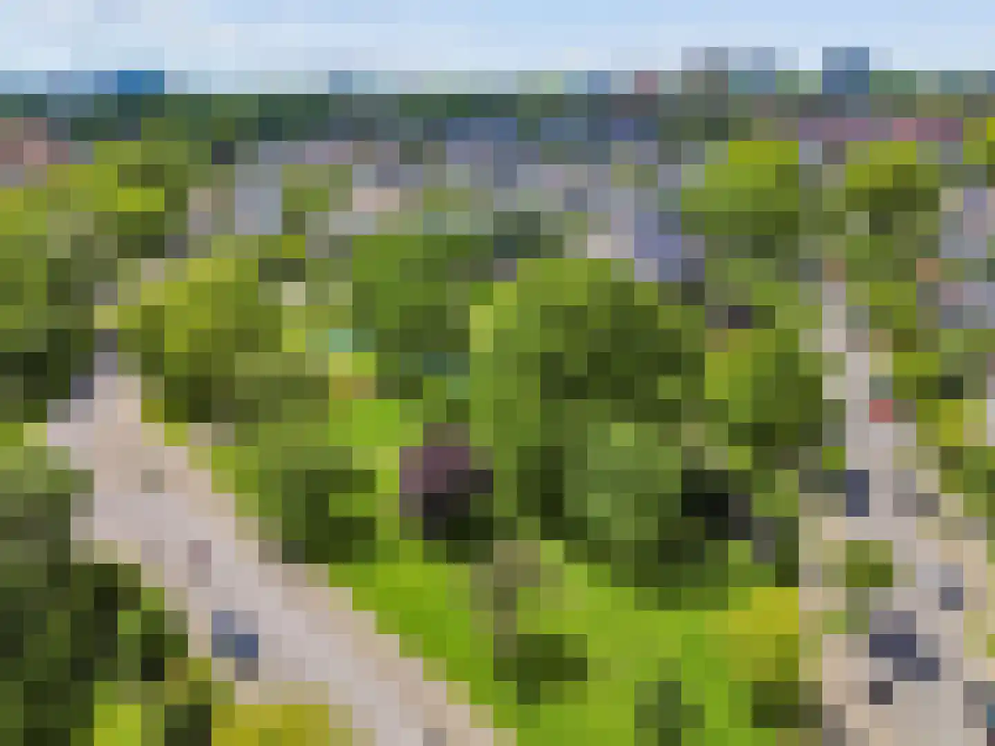 H. Copijnlaan 20 Utrecht thumbnail 59