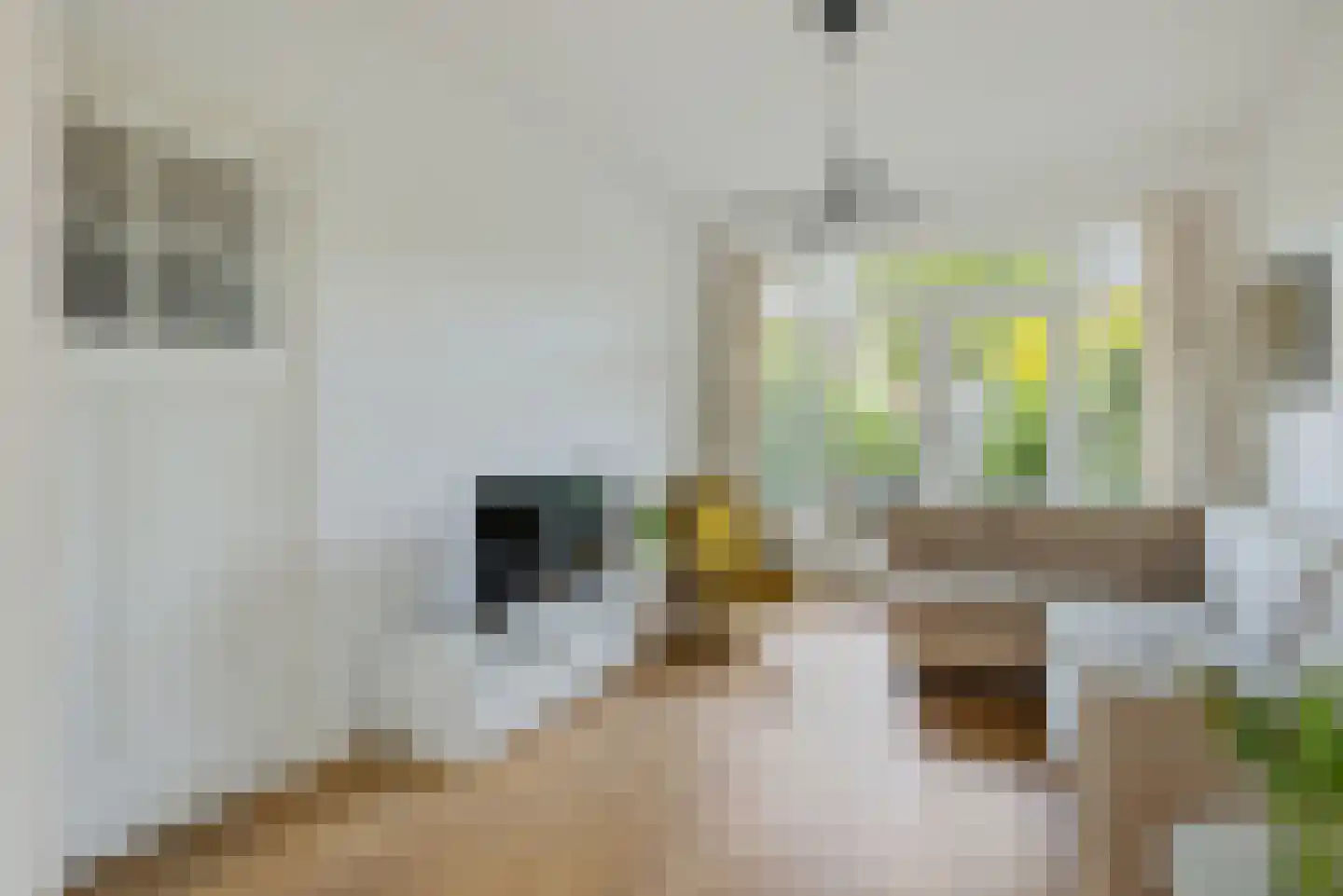 H. Copijnlaan 9 Utrecht thumbnail 13
