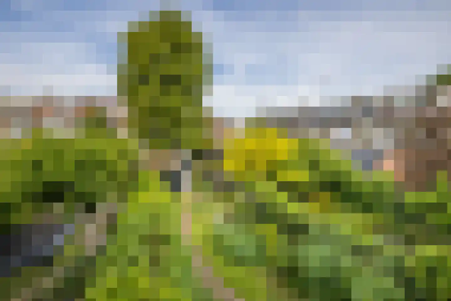 H. Copijnlaan 9 Utrecht thumbnail 33