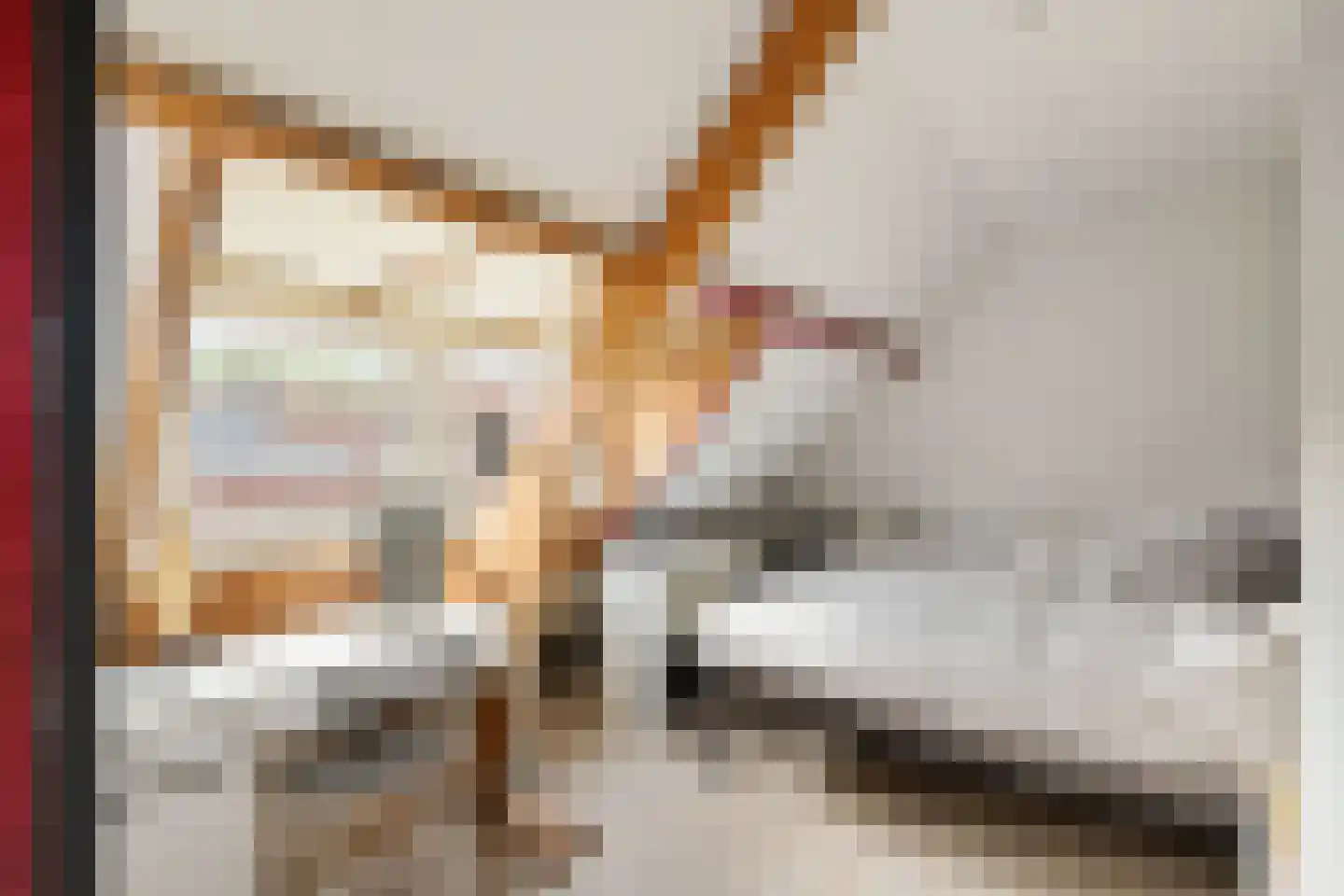 H. Copijnlaan 9 Utrecht thumbnail 38