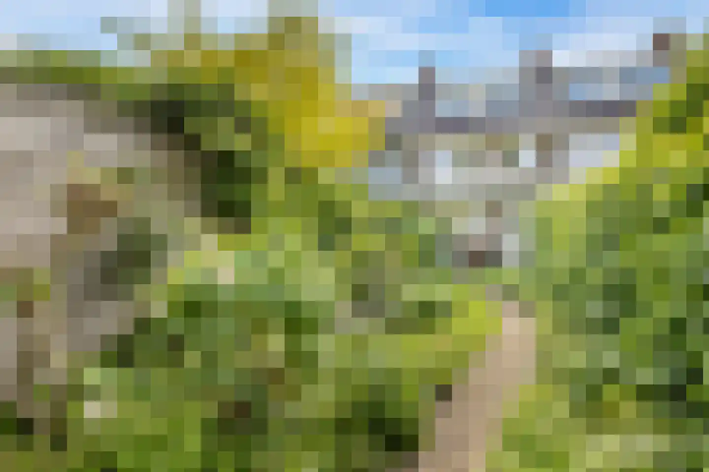 H. Copijnlaan 9 Utrecht thumbnail 41
