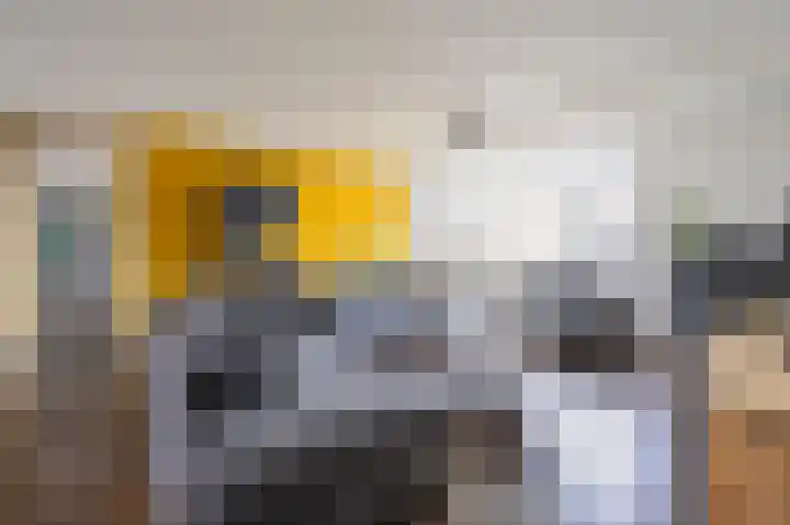 H. de Lintweg 25 Spijkenisse thumbnail 19