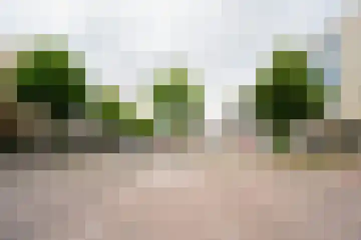 H. de Lintweg 25 Spijkenisse thumbnail 40