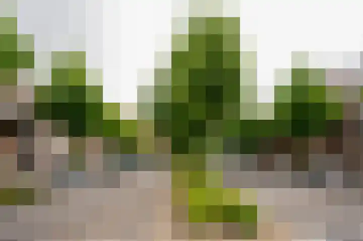 H. de Lintweg 25 Spijkenisse thumbnail 41