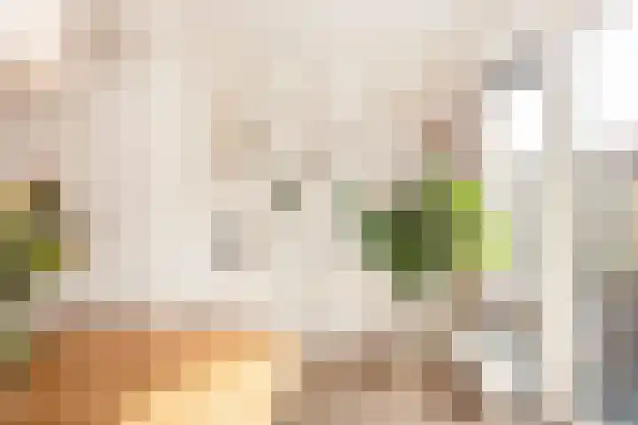 H. Diemerstraat 37 Utrecht thumbnail 9