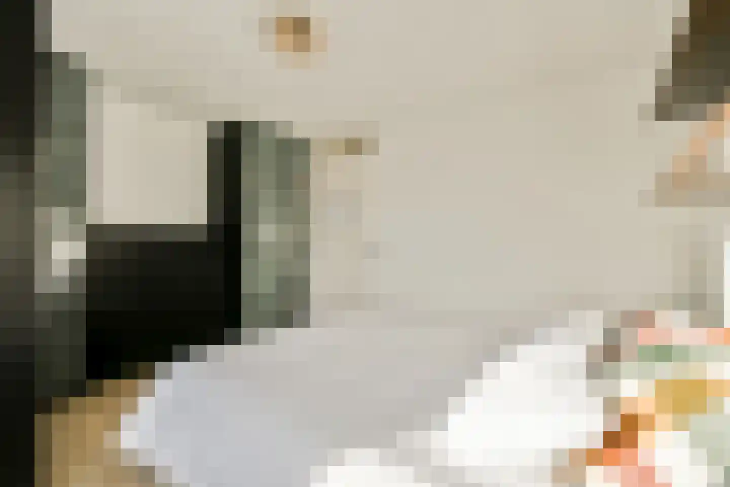 H. Diesveldsingel 164 Amsterdam thumbnail 17