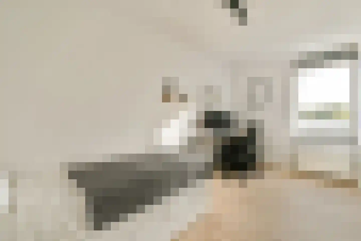 H. Diesveldsingel 164 Amsterdam thumbnail 18