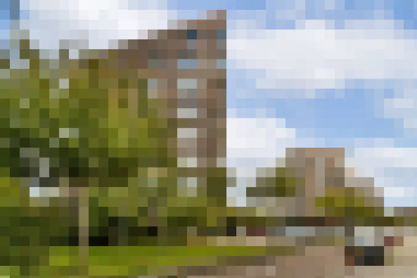 H. Diesveldsingel 164 Amsterdam thumbnail 22