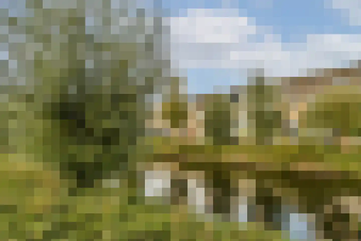 H. Diesveldsingel 164 Amsterdam thumbnail 24