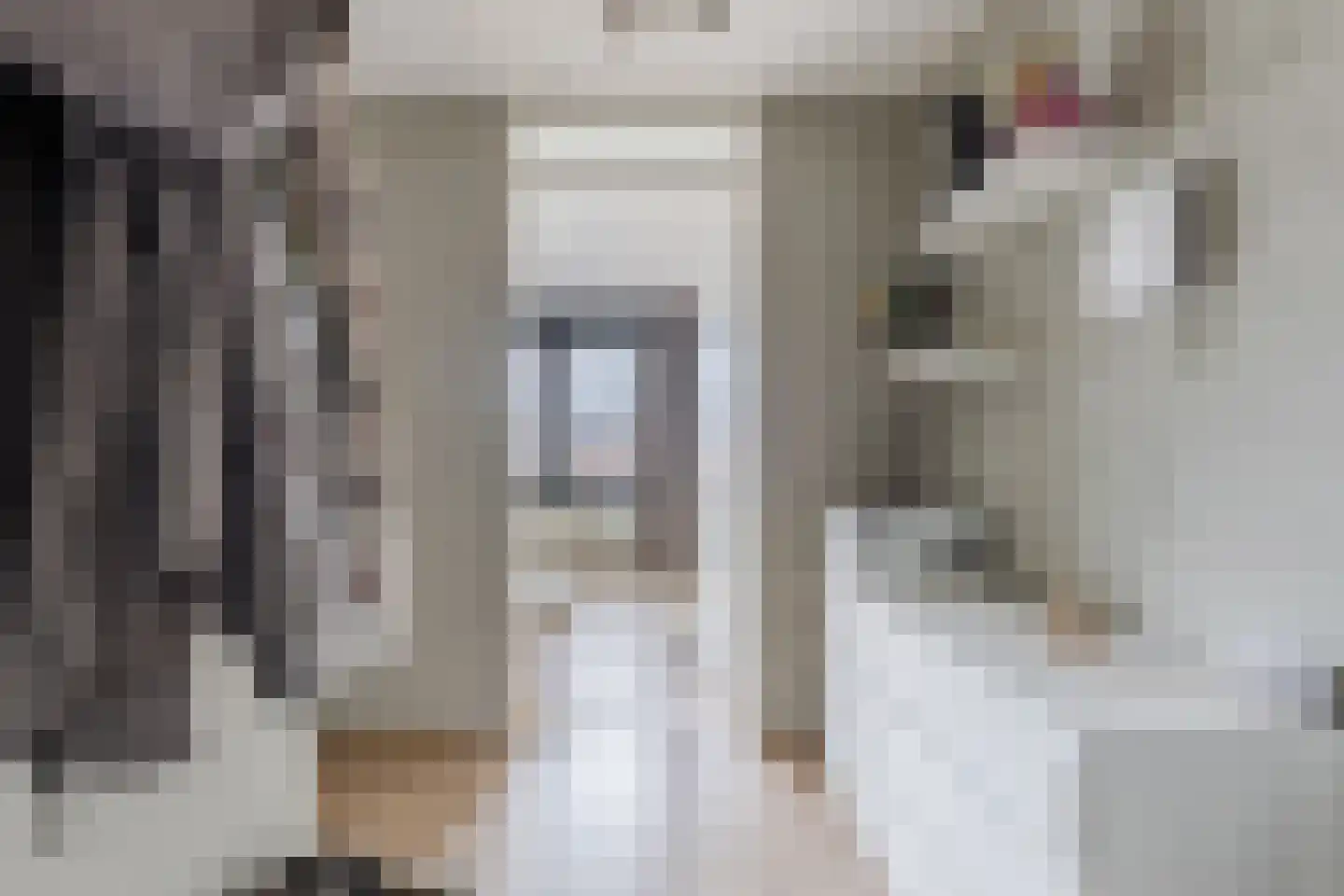 H. Diesveldsingel 178 Amsterdam thumbnail 12