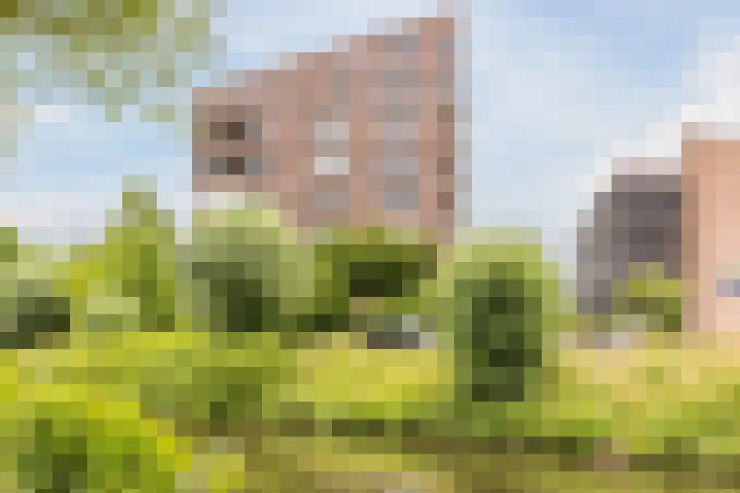 H. Diesveldsingel 178 Amsterdam thumbnail 31