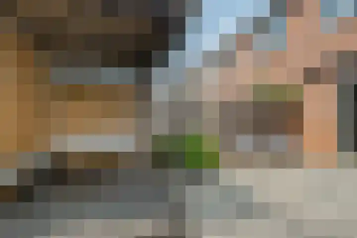 H. Diesveldsingel 25 Amsterdam thumbnail 29