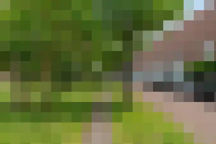 H. Diesveldsingel 25 Amsterdam thumbnail 32