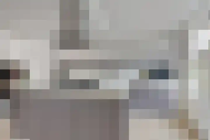H. Diesveldsingel 25 Amsterdam thumbnail 5