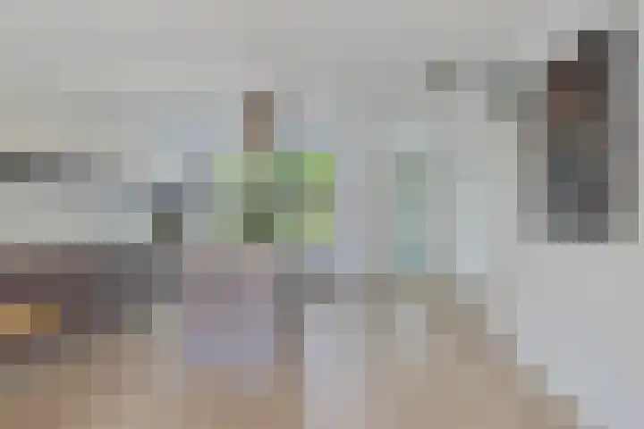 H. Diesveldsingel 25 Amsterdam thumbnail 6