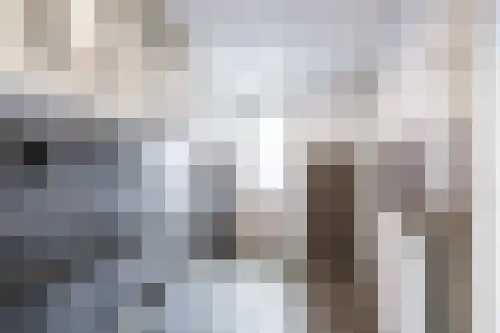 H.F.Dresselhuisstraat 56 Bad Nieuweschans thumbnail 8