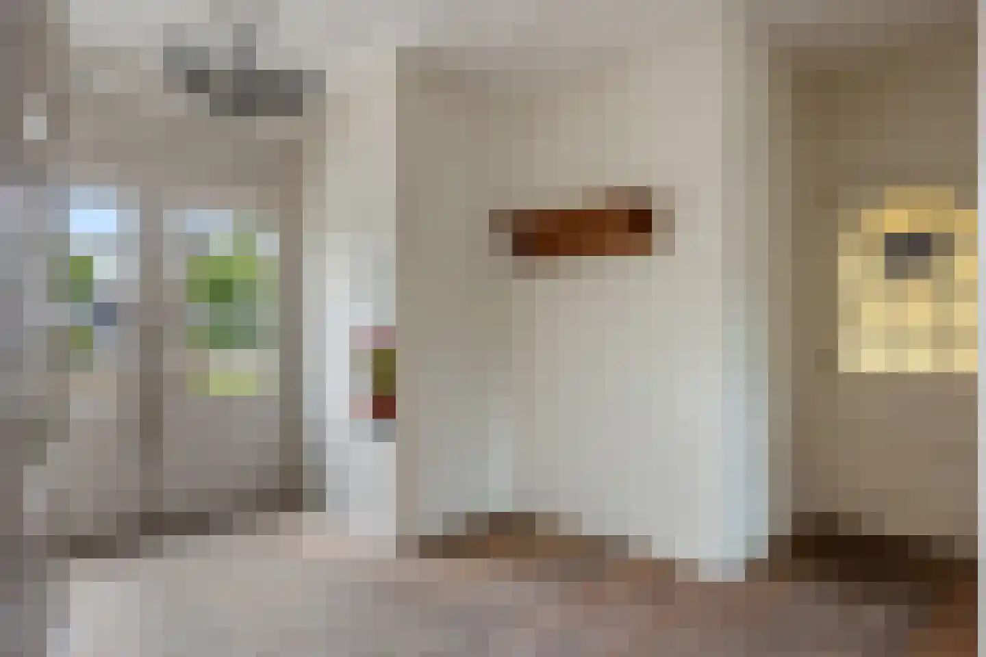 H.F.Dresselhuisstraat 6 Bad Nieuweschans thumbnail 15