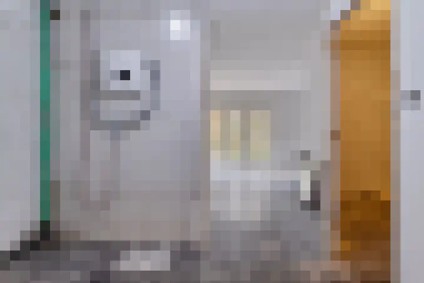 H.F.Dresselhuisstraat 6 Bad Nieuweschans thumbnail 23