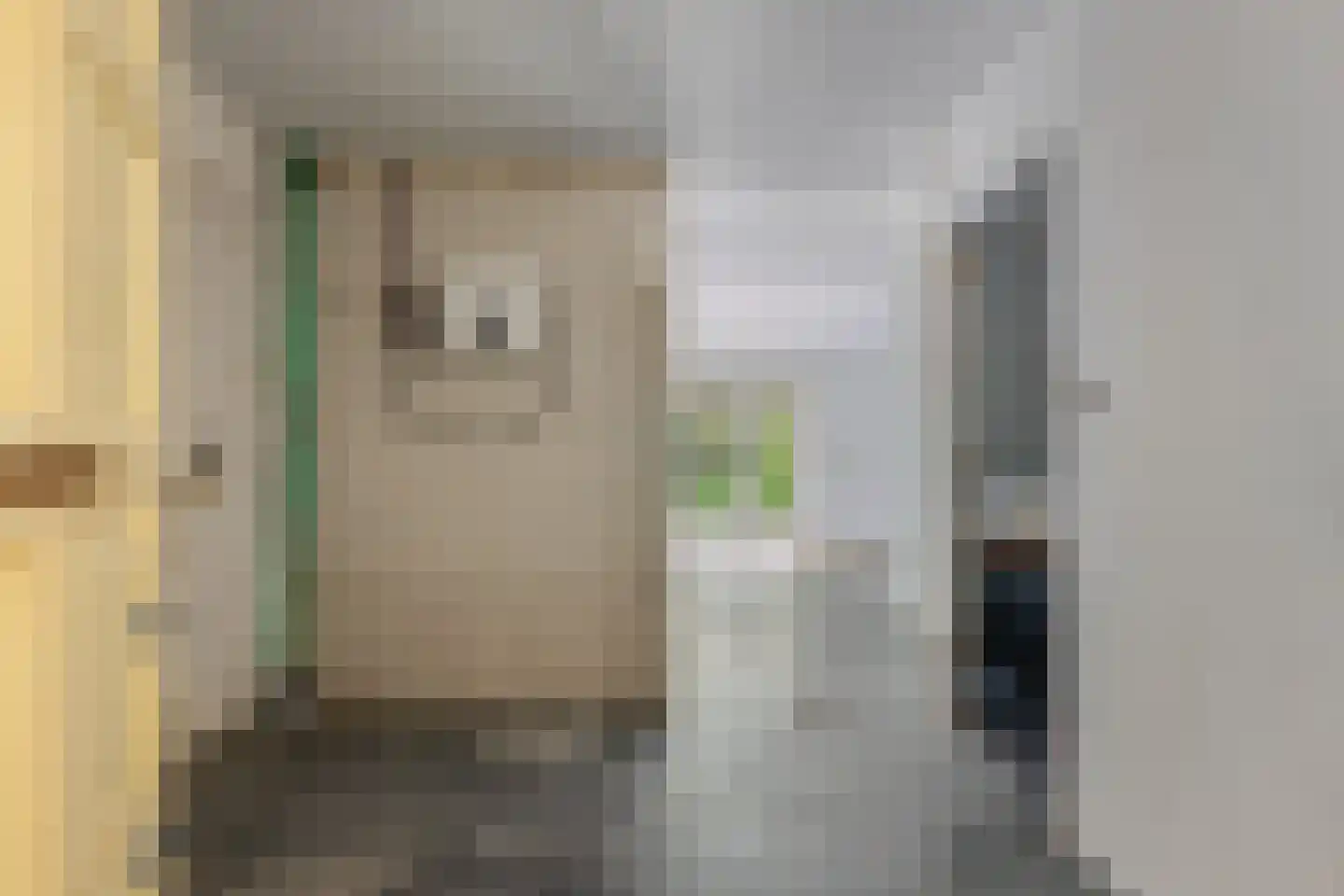H.F.Dresselhuisstraat 6 Bad Nieuweschans thumbnail 37