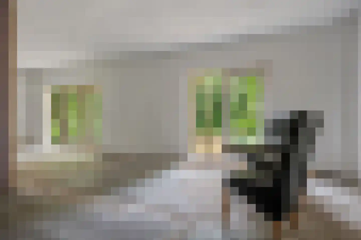 H.F.Dresselhuisstraat 6 Bad Nieuweschans thumbnail 43