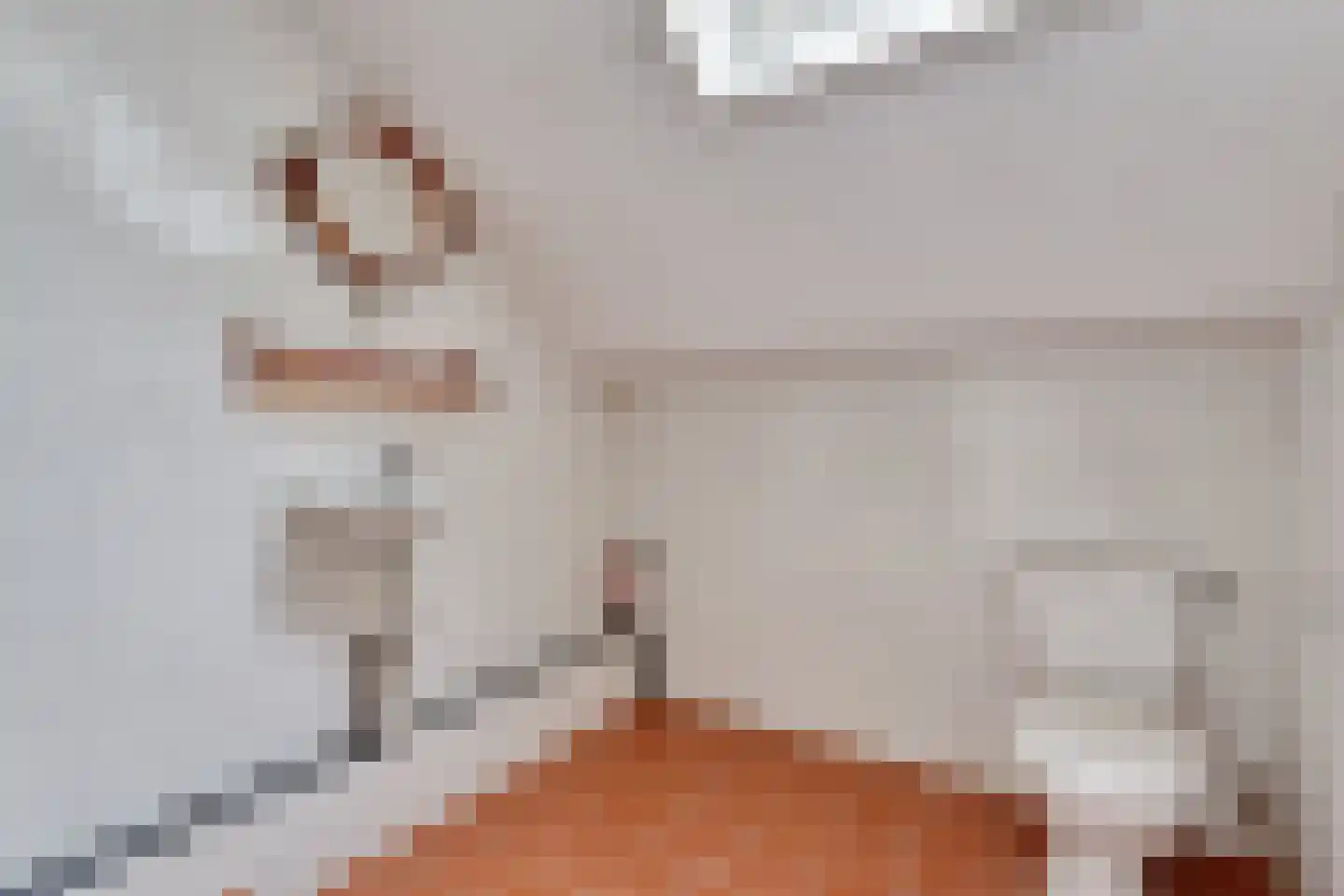H.F.Dresselhuisstraat 6 Bad Nieuweschans thumbnail 47